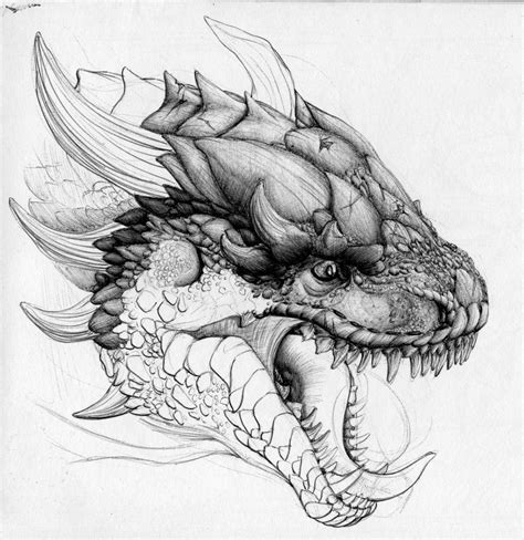 https://www.google.si/blank.html | Dragon head drawing, Dragon pictures, Drawings