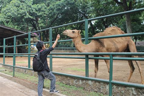 Lokasi, Fasilitas dan Harga Tiket Masuk Kebun Binatang Bandung - Wisatamy