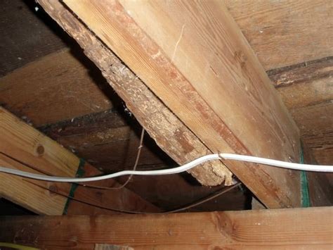 How To Replace Rotted Floor Joist In Crawl Space - BOULDERWOODGROUP.COM ...