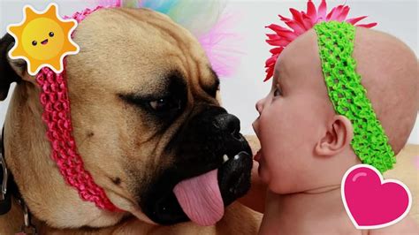 Cute Puppies and Babies | Cute Puppies and Babies Playing Together | Puppies Playing - YouTube