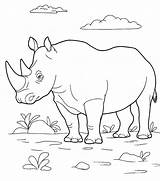 Wild animals coloring Pages For Kids To Print Free sketch template