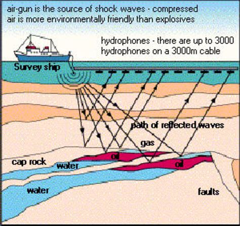 The Environmental Impacts of Offshore Oil Drilling - Soapboxie