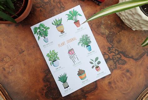 Plant Journal for Houseplant Care, A5 Lined Notebook for Succulents ...