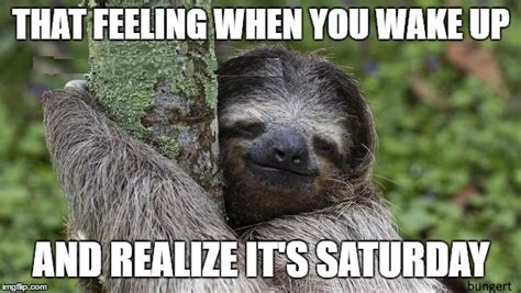 Happy Sloth - Imgflip