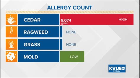 Second highest cedar pollen count of the season recorded in Austin | kvue.com