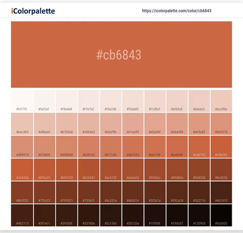 Terracotta Colour Combination Colour Palette 60 Fresh color palette