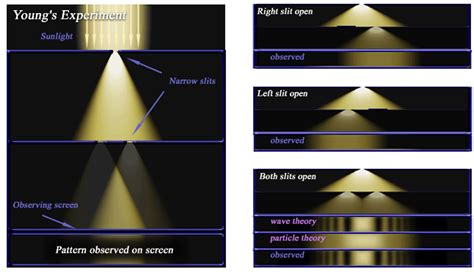 Thomas Young's Double Slit Experiment