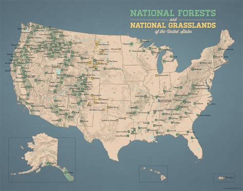 US National Forests Map 11x14 Print - Best Maps Ever