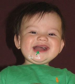 Our little can opener got his first tooth | Jen | Flickr
