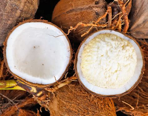 Sprouted Coconut: Nature's Hidden Nutritional Treasure!