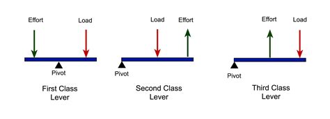 In a first-class lever, the fulcrum is in the middle of the effort and resistance. In a second ...