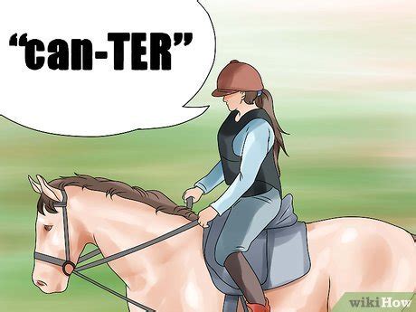 How to Canter With Your Horse (with Pictures) - wikiHow