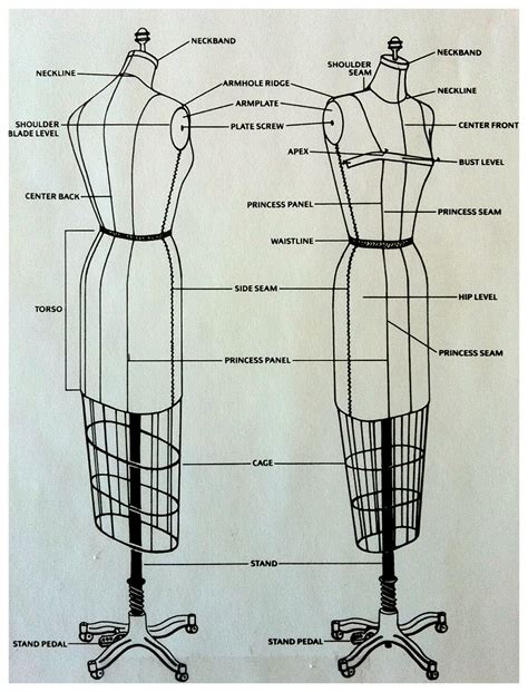 The Designer's Lounge: Designer's Tip of The Day- The Anatomy of a Dress Form