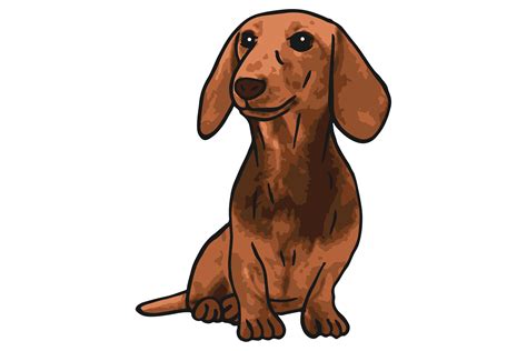 Dachshund Dog Cute Cartoon Sticker Graphic by MVMET · Creative Fabrica