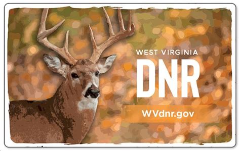 WVDNR announces 2024 hunting, trapping, fishing licenses now on sale - West Virginia Department ...