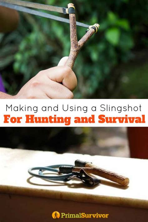 Making and Using a Slingshot For Hunting and Survival