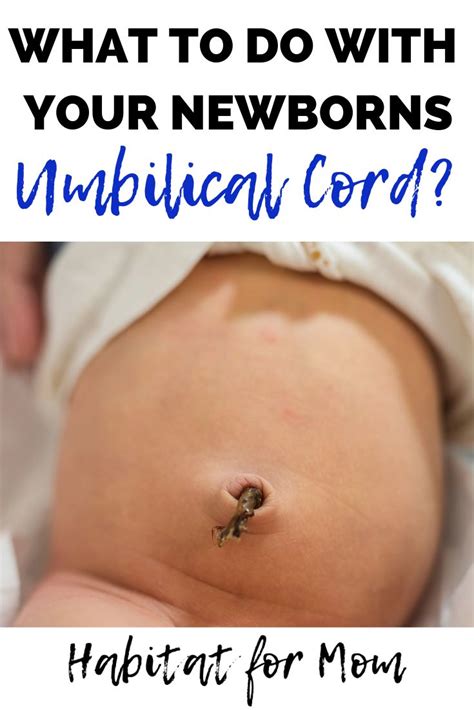 How To Care For Your Newborn’s Umbilical Cord Stump. Newborn care tips | Baby care tips ...