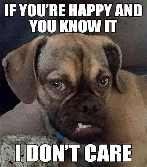 The 10 Best Memes of 'Grumpy Dog'