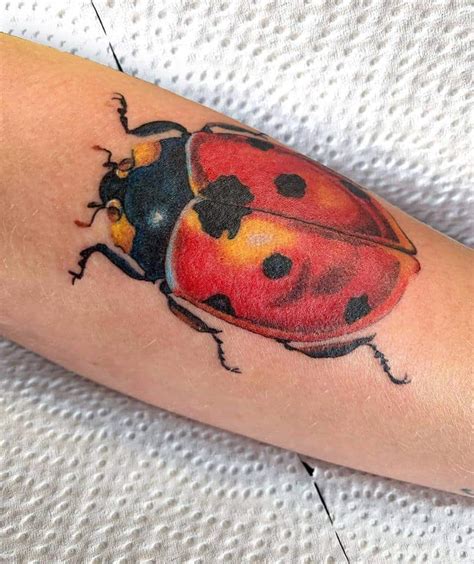 Ladybug Tattoo Realistic