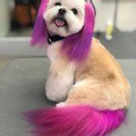 Pink Hair Meme Generator - Imgflip