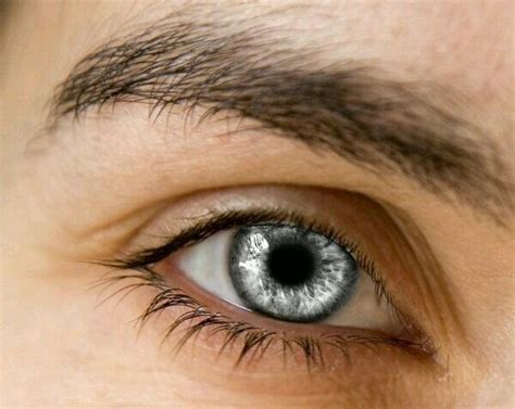 Olhos prateados | Aesthetic eyes, Cool eyes, Beautiful eyes