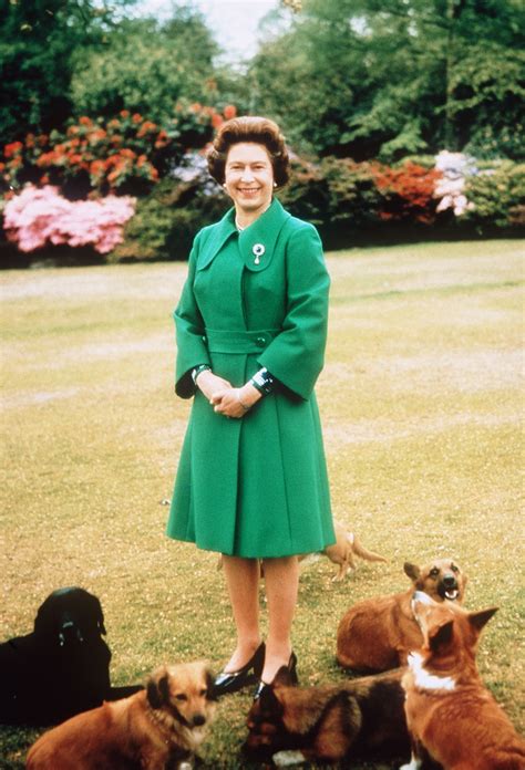 The Royal Family Dogs: Chronicling the British Monarchy’s Many Corgis, Cocker Spaniels, and ...