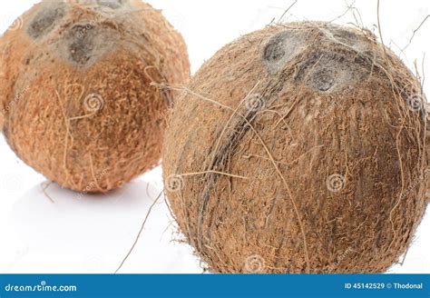 Whole coconuts stock image. Image of exotic, natural - 45142529