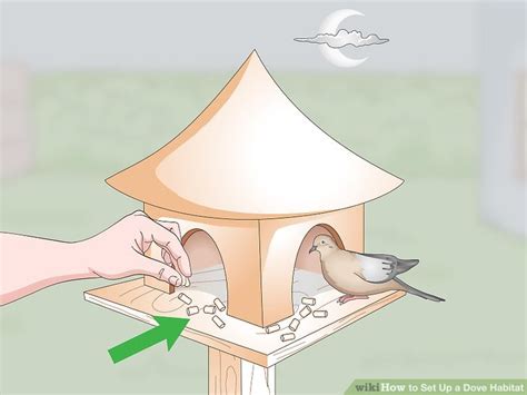 3 Ways to Set Up a Dove Habitat