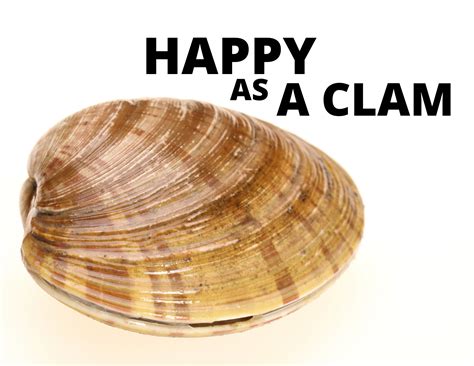 Meaning of "Happy as Clams" - BusinessWritingBlog