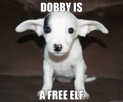 DOBBY IS A FREE ELF - Dobby - quickmeme