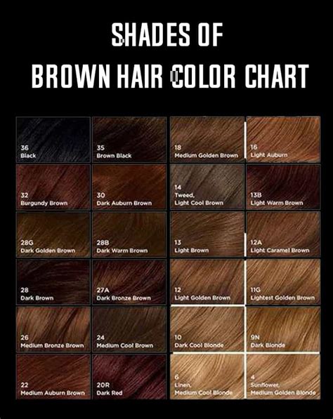 Shades Of Brown Hair Color