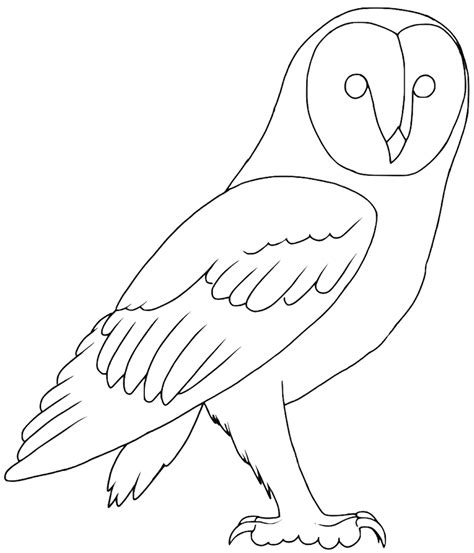 Free Barn Owl Lineart by ProjectOWL on DeviantArt | Barn owl, Owl, Drawings