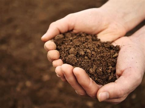 Soil Moisture Content Testing Methods - Haute Life Hub