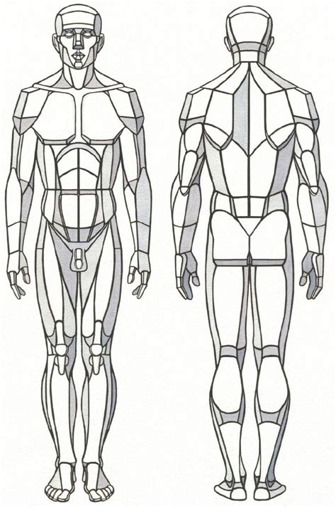 Pin by Eduardo Inke on draw | Human anatomy drawing, Human body drawing, Human anatomy