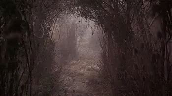 Forest Night GIF - Forest Night Horror - Discover & Share GIFs