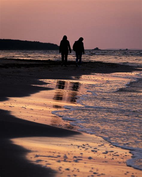 Silhouette of People Walking on the Beach during Sunset · Free Stock Photo