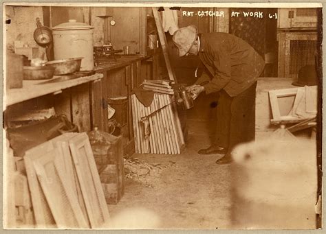 Rat-catcher at work | Library of Congress