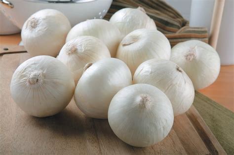 White Onions - Prepared Food Photos, Inc.