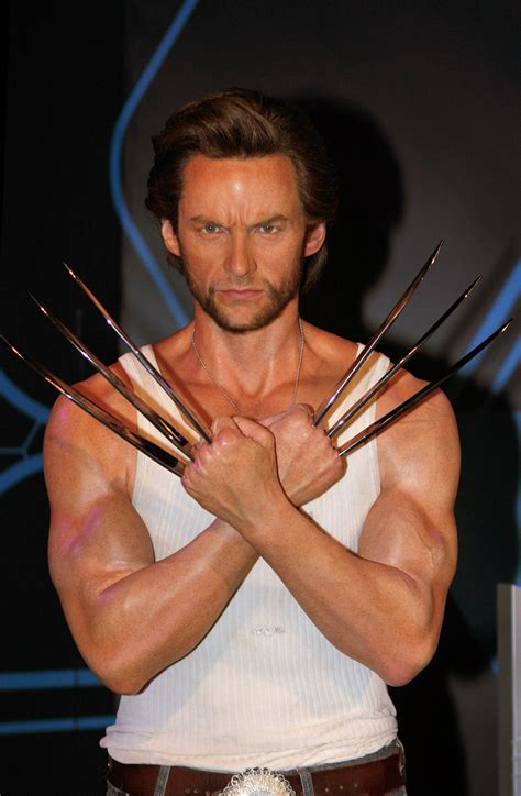 Wolverine — Wikipédia