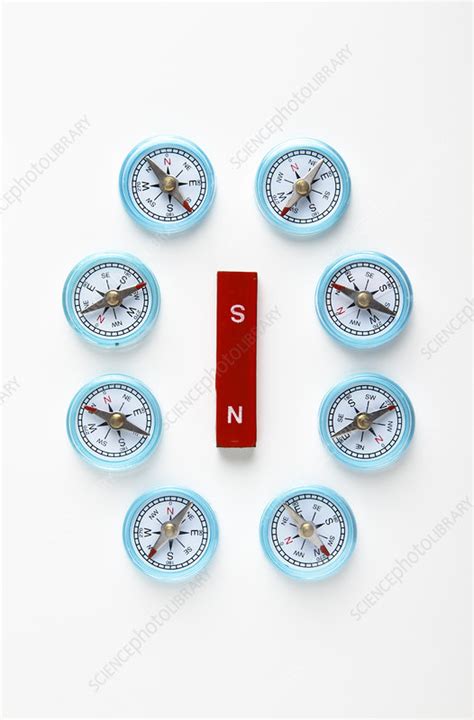 Bar Magnet & Compasses - Stock Image - C009/4453 - Science Photo Library