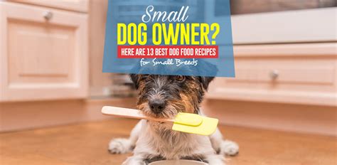 13 Homemade Dog Food Recipes for Small Dogs – Top Dog Tips