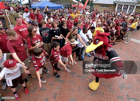 Gamecock Mascot Photos and Premium High Res Pictures - Getty Images