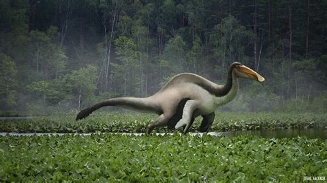 Deinocheirus mirificus: A Fossil Goose Chase - Darwin's Door