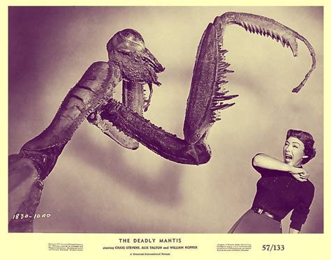 The Deadly Mantis 1957 | Horror movies, Sketches, Humanoid sketch