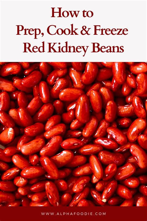 How to Prep, Cook and Freeze Dried Red Kidney Beans - Alphafoodie