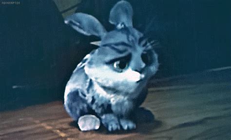 rise of the guardians easter rabbit gif | WiffleGif