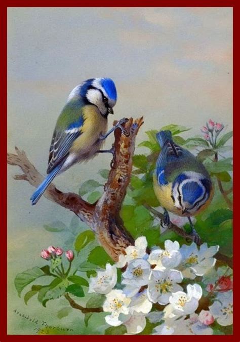 Bird art, Birds painting, Beautiful birds