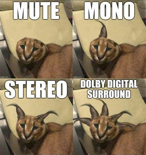 The best Sound memes :) Memedroid