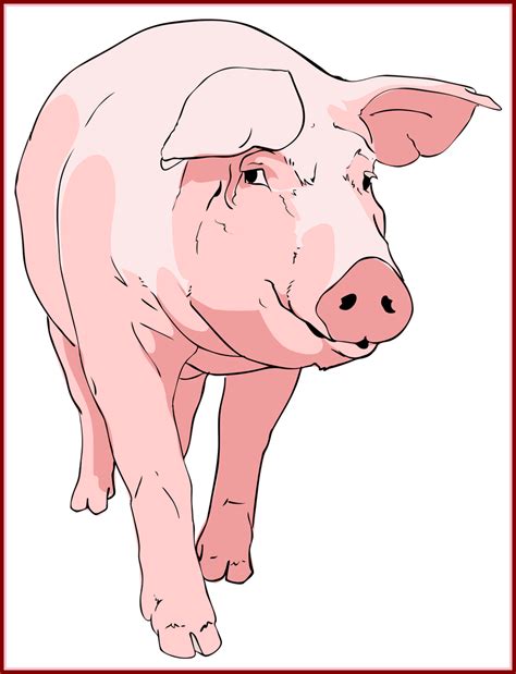 Outline clipart pig, Outline pig Transparent FREE for download on WebStockReview 2024