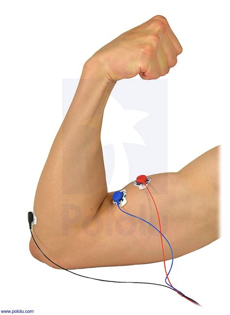 Biceps Electrode Placement